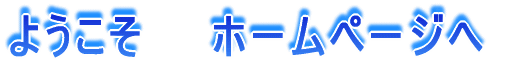 �悱���@�@�z�[���y�[�W��