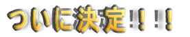 ついに決定!!